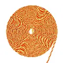 Searchlite_2.webp