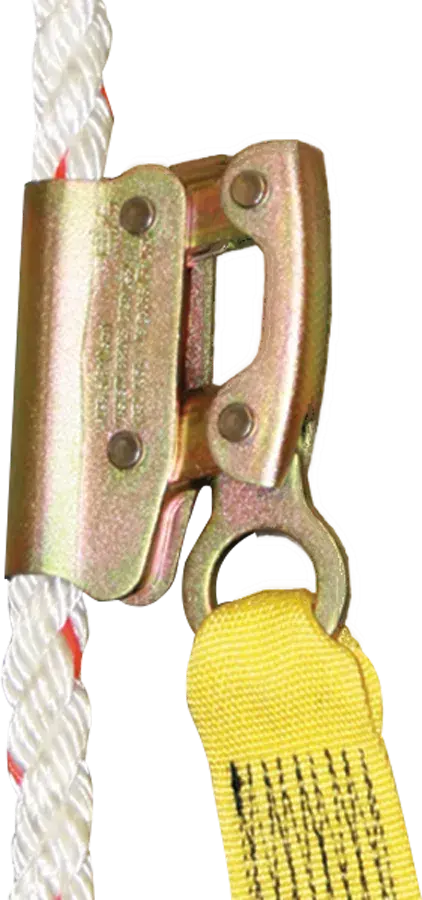411-50MG_2.webp