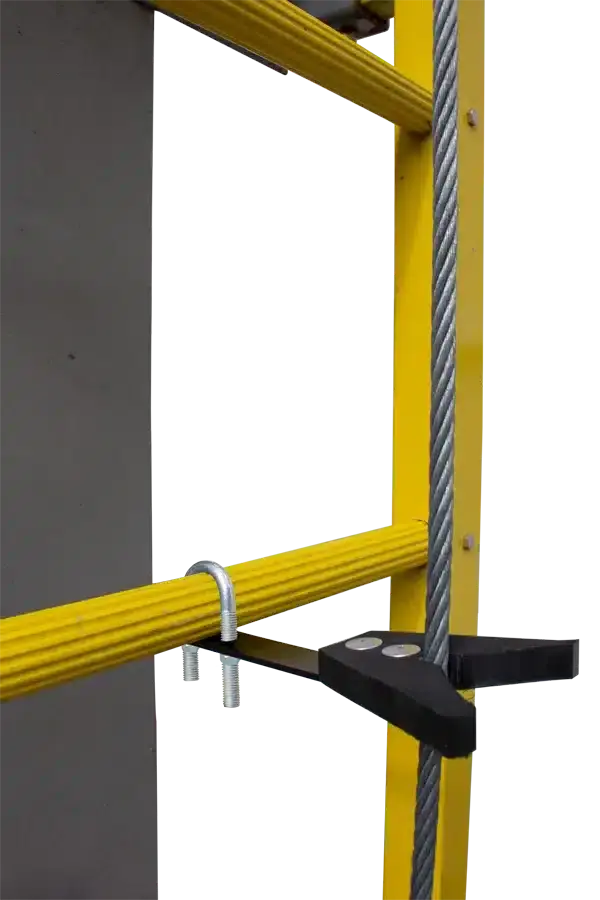 VL-CG.webp