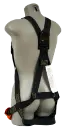 631KUT_Back.webp