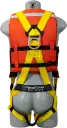 631LJ-BACK-2022.webp