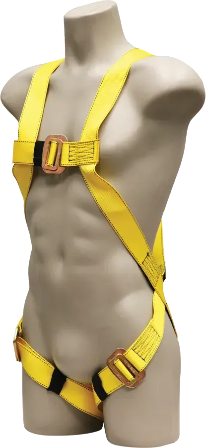 631_Front.webp
