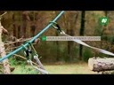 youtube - [Video]